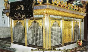 Image result for bibi sakina