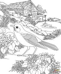 Realistic Bird Coloring Pages Bird Coloring Pages Garden Coloring Pages Animal Coloring Pages