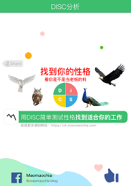 什么是disc简单测试 disc测试结果分析找到适合工作 完整指南 maomaochia disc map map screenshot