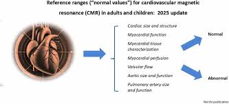 Society for Cardiovascular Magnetic Resonance reference values (“normal  values”) in cardiovascular magnetic resonance: 2025 update - Journal of  Cardiovascular Magnetic Resonance