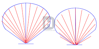 We did not find results for: How To Draw Shells Step By Step Drawing Tutorial Easy