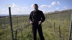 Mai jos o sa regasiti informatii privind admiterea la facultatile universitatii a.i.cuza din iasi (perioada de inscriere, taxa de admitere). Facultatea De Horticultura Iasi Youtube