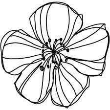 Natali Design Apple Doodle1 Png Liked On Polyvore Featuring Fillers Flowers Doodles Backgrounds Decorations Quotes Doodle Images Flower Drawing Drawings