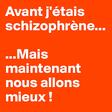 B., h i p p i u s h. Avant J Etais Schizophrene Mais Maintenant Nous Allons Mieux Post By Brunoclement On Boldomatic