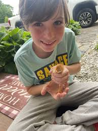 So our almost 4 week old chicks have been going into their coop everyday  for a few days. Yesterday they spent almost the entire day outside. The  temp here where we live