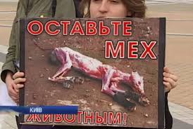 Ватажком терористів "ДНР" став Пушилін - Цензор.НЕТ 420