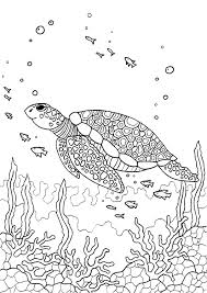 You can now print this beautiful zentangle turtle adults coloring page or color online for free. Free Printable Turtle Coloring Pages For Adults Novocom Top