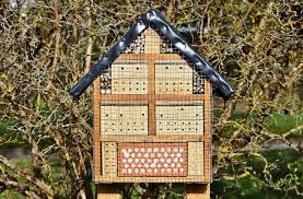 Check spelling or type a new query. Bees Houses An Easy Guide How To Build A Bees House Diy