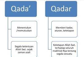 Pina salah satu murid yang cerdas di kampusnya, ia sangat jarang belajar. Iman Kepada Qada Dan Qadar Pengertian Dalil Perbedaan Contoh