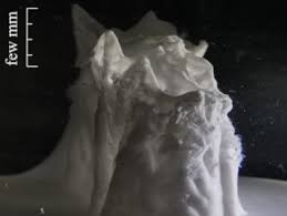 We did not find results for: Self Assembled Formation Of An Organic Chemical Garden Chemviews Magazine Chemistryviews