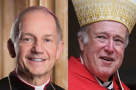 Illinois bishop's provocative essay suggests Cardinal McElroy is a heretic 