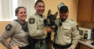 Animal Control Officers Risk Their Lives To Show The Danger Of Leaving Dogs Outside In The Winter Animal Control Animal Shelter Animal Rescue Stories