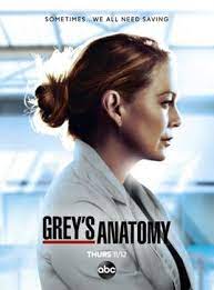 2005 141k members 17 seasons 376 episodes. Grey S Anatomy Serie Tv 2005 Allocine
