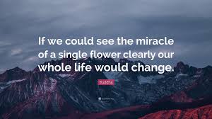 See more ideas about buddha quotes, buddha, quotes. Buddha Quote If We Could See The Miracle Of A Single Flower Clearly Our Whole Life