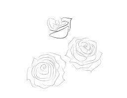 11:19 samsoma diy 24 913 просмотров. ÙƒÙŠÙÙŠØ© Ø±Ø³Ù… ÙˆØ±Ø¯Ø© Ø¨Ù‚Ù„Ù… Ø±ØµØ§Øµ Ø¯Ø±Ø³ Ø§Ù„Ø±Ø³Ù… ÙƒÙŠÙÙŠØ© Ø±Ø³Ù… Ø§Ù„ÙˆØ±ÙˆØ¯ Ø¨Ø´ÙƒÙ„ ØµØ­ÙŠØ­