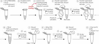 Tons of cardio and strength equipment. Https Peerj Com Preprints 2561v3 Fig S3 Saltingout Pdf