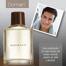 Fragancia Domain De Mary Kay Nuestra Idea De Regalo Para El Hombre Sofisticado Mary Kay Fragancias Cosmeticos Mary Kay Mary Kay