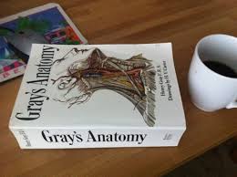 Find the perfect grey's anatomy stock photos and editorial news pictures from getty images. Gray S Anatomy And Other Medical Textbooks Think Outside The Bin