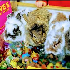 Locate store hours, directions, address and phone number for the tractor supply company store in waterville, me. Peterson S Exotic Pets Home Facebook