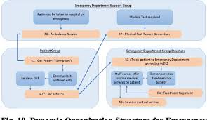 Figure 10 From Organizational Structure For Emergency