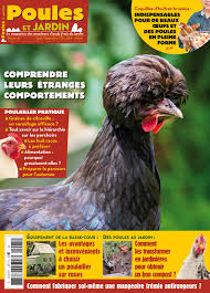 Poules Et Jardin Novembre 2019