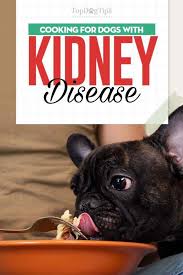 Dog Kidney Disease Diet 101 Evidence Based Guidelines On Feeding Healthydogfood Kidney Disease Diet Dog Kidney Disease Diet Renal Dog Food