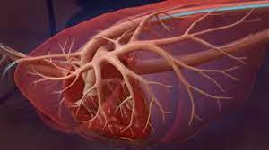If you don't get your dog test, you won't know your dog needs treatment. Heartworm Tx Dosage