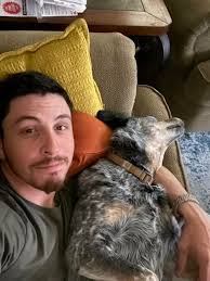 Police officers kill dog in St. Clair County, MI