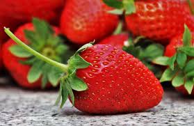 Check spelling or type a new query. Conservare Le Fragole Come Fare Per Preservare Qualita E Sapore