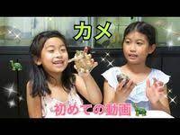 庭でプール遊びをしました 水でっぽうたのしい youtube 2020 プール たのしい 遊び
