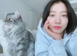 Artikel ini merupakan bagian dari parapuan. Park Shin Hye Talks About Her Career And Romance With Choi Tae Joon The Independent Singapore News