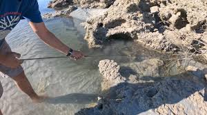 Dry Season activities 🐟🦀🐋