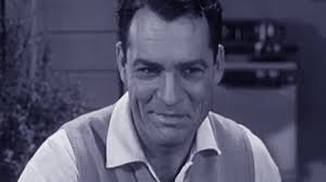 Watch The Donna Reed Show (1958) Online for Free