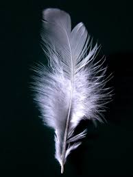 Start date thursday at 5:58 pm. White Feather Wikipedia