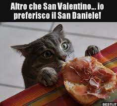 Altro Che San Valentino Io Preferisco Il San Besti It Immagini Divertenti Foto Barzellet Immagini Divertenti Divertente Immagini Di Gatti Divertenti