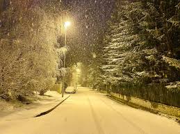 Una dintre numeroasele imagini de stoc gratuite extraordinare de la pexels. Foto Video Ninsoare Ca In Lunile De IarnÄƒ In Poiana BraÈ™ov