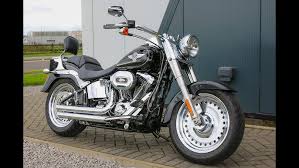 Image result for Vivid Black 1993 FLSTF