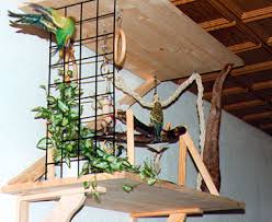 Wellensittiche akzeptieren ihren käfig normalerweise als rückzugsort und futterstelle. Spielsachen