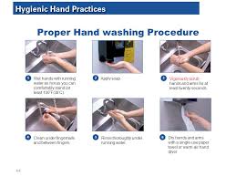 Servsafe Principles Food Science And Nutrition Personal Behaviors That Can Contaminate Food 4 2 Scratching The Scalp Running Fingers Through Hair Touching Ppt Download