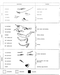 diagrams