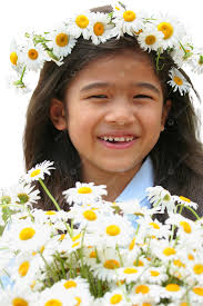 Daisy Crown PNG Transparent Images Free Download