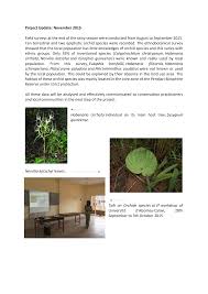 Image result for Nervilia kotschyi