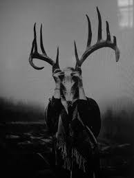 Black And White Deer Skull Erosionandregeneration Creepy Horror Creepy Art Dark Art
