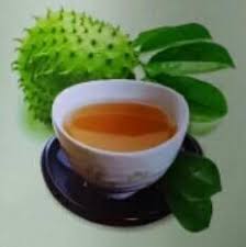 Daun durian belanda merupakan daun berukuran lebar dan juga panjang. Teh Daun Durian Belanda Sarawak Photos Facebook