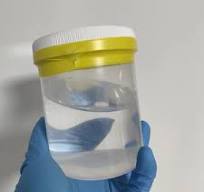Resina acrílica a base de solvente - Pinturas duraderas y ...