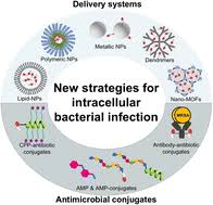 Image result for Intracellular Bacteria