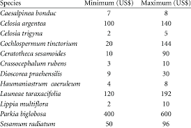 Image result for Haumaniastrum caeruleum