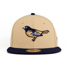 New Era Caps Snapbacks Bucket Hats T Shirts Streetwear Usa Cranium Fitteds New Era Cap New Era Fitted Hats