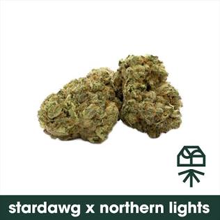 Prescription-grade Stardawg medical flower, AI generated