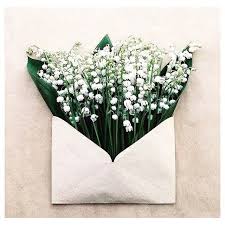 The French Tradition On The 1 May Is To Offer Beloved Ones Little Posies Of Lily Of The Valley Symbol Of Spring Regram Fr Flores Bonitas Arte Flor Amor Flores